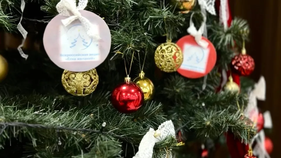 Фото: пресс-служба администрации Наро-Фоминского г.о.