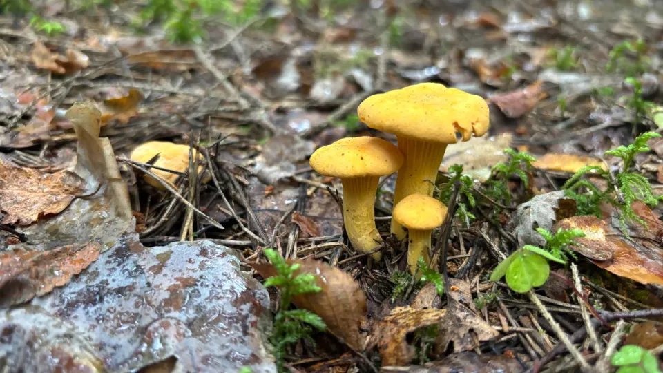 Фото: REGIONS/Алена Мельникова