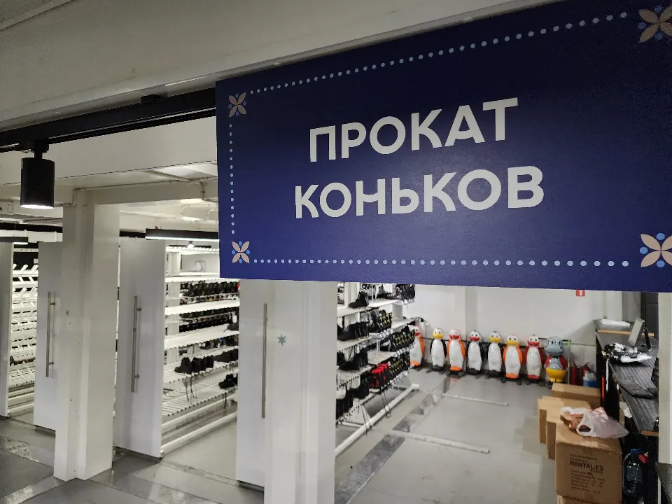 Фото: МедиаБанк Подмосковья/Иван Чижов