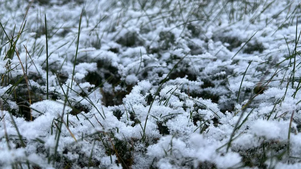 Фото: Елена Фурман