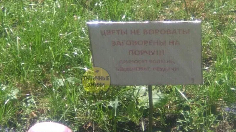 Александр Сокорев / ВКонтакте