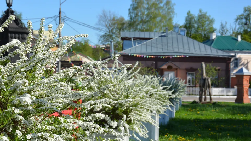 Фото: Алексей Воронин
