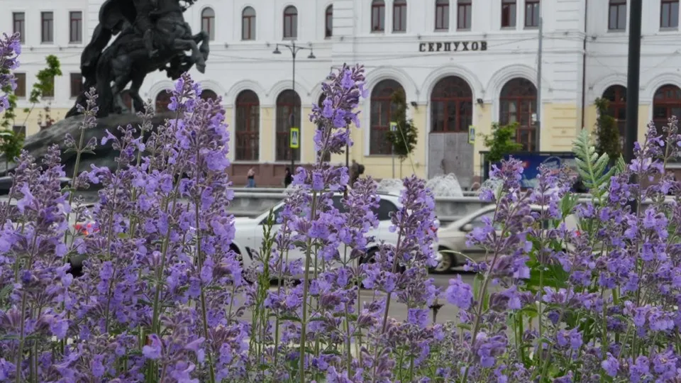 Фото: пресс-служба Администрации г.о. Серпухов