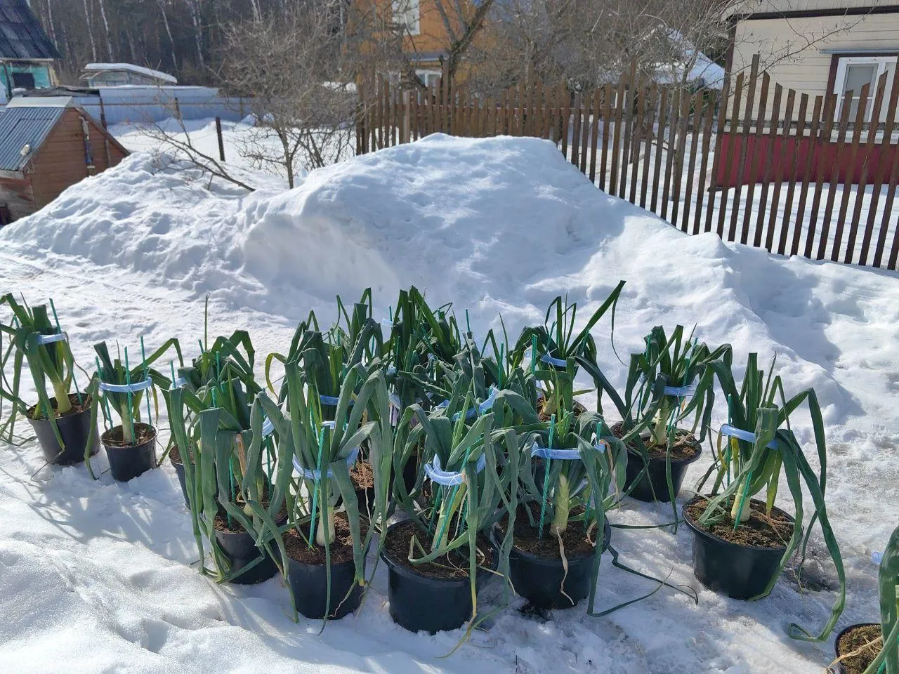 личный архив Александра Чусова