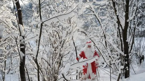 Уфимский чиновник обратился к Деду Морозу с просьбой о снеге