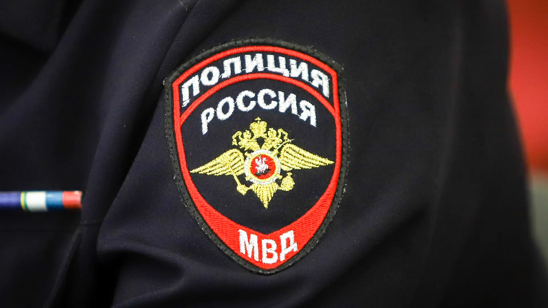 Фото: Виталий Ватулин