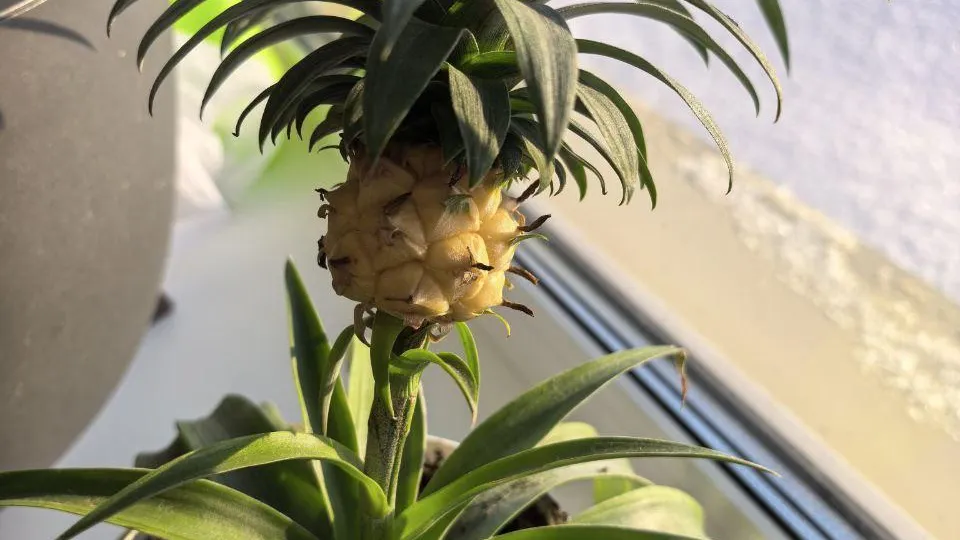 из личного архива Гульнары Ломакиной