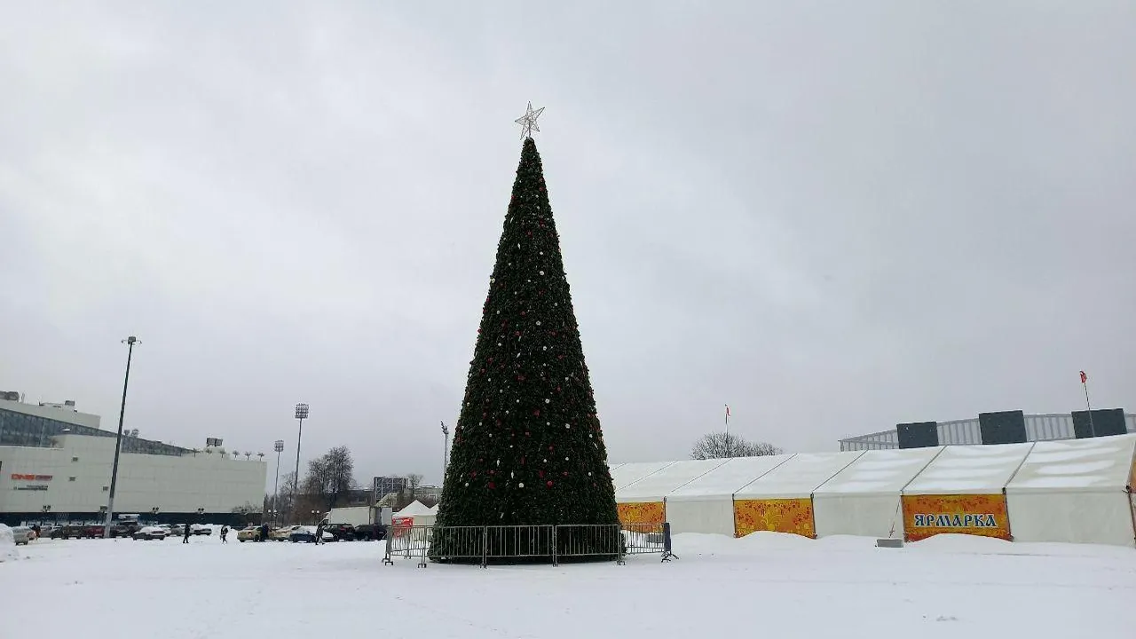Фото: Олег Книжник