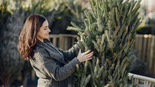 медиасток.рф