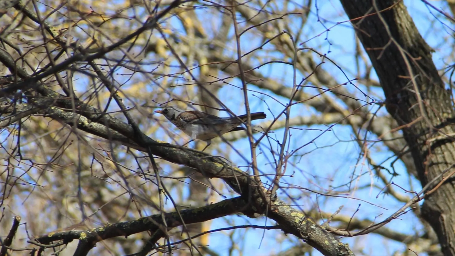 vk.com/Музей-заповедник П. И. Чайковского