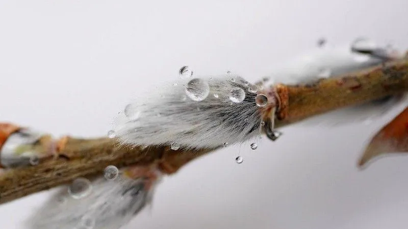 Аномальное тепло сохранится в Подмосковье до марта