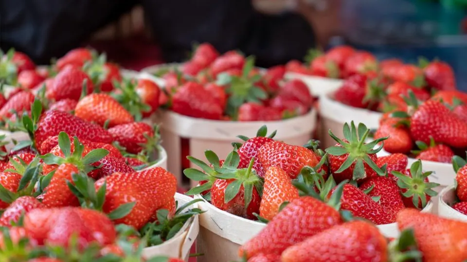 Фото: istockphoto.com