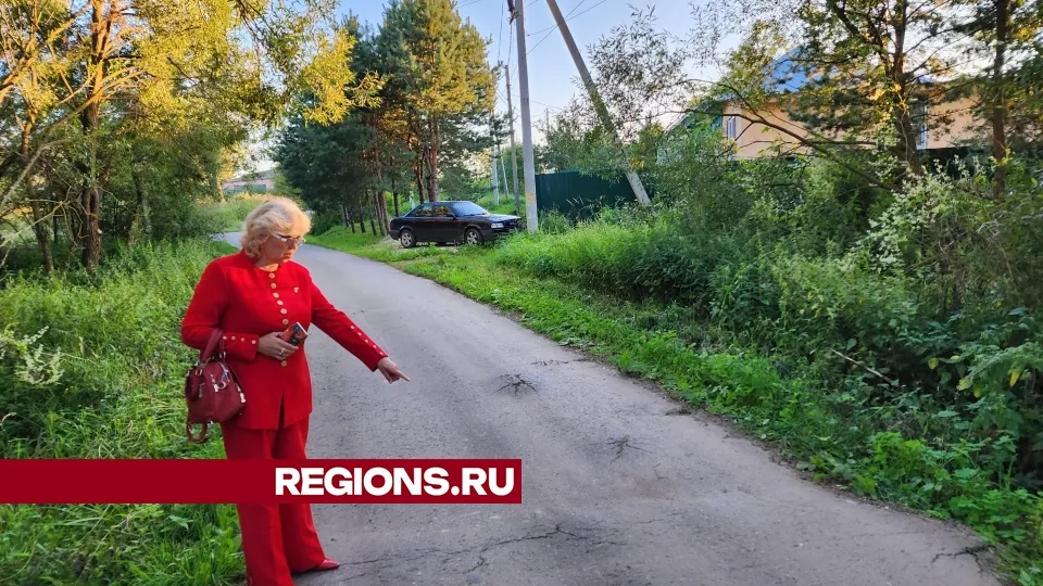 Фото: Дмитрий Алексеенко