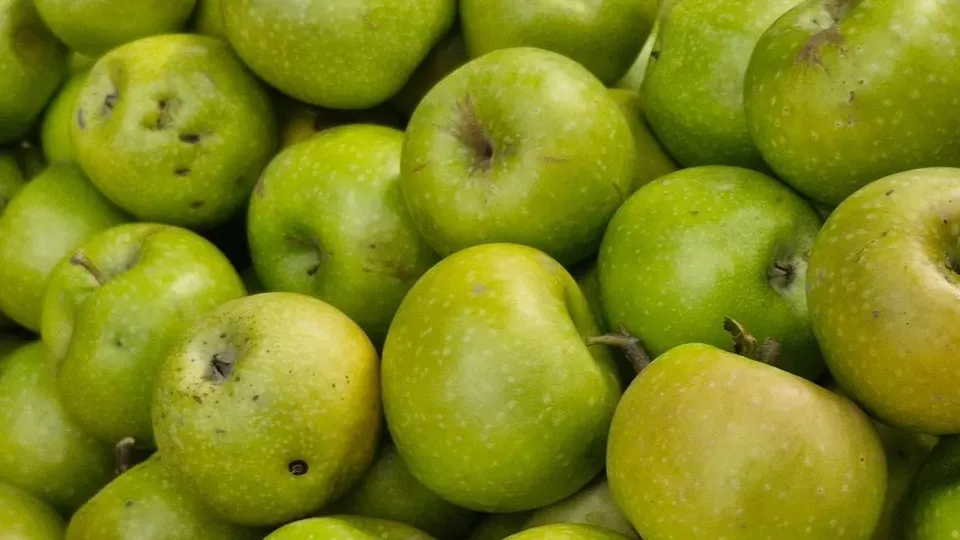 Фото: REGIONS/Наталия Надточая