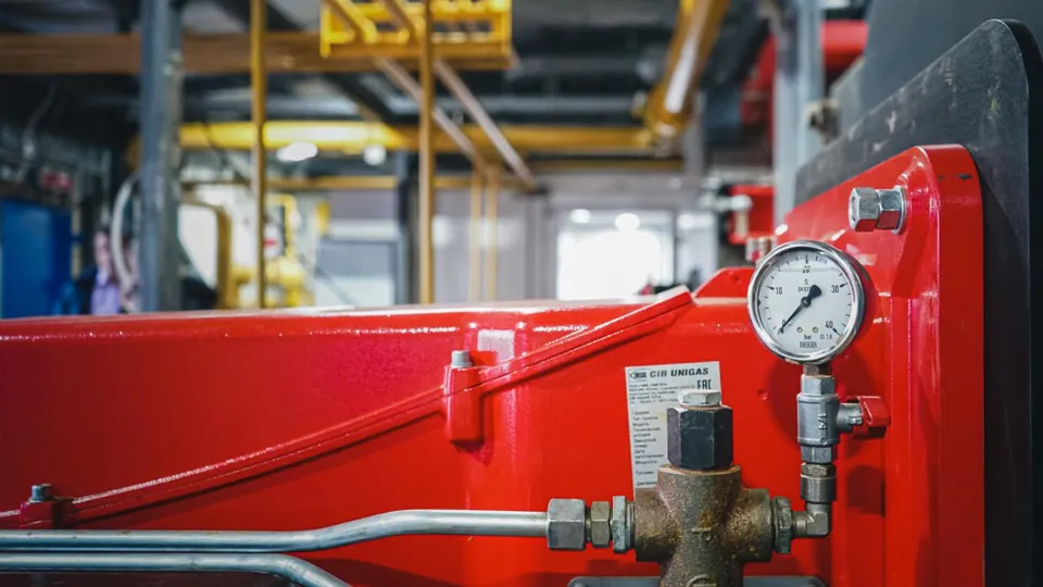 Фото: МедиаБанк Подмосковья/Наталь Майорова