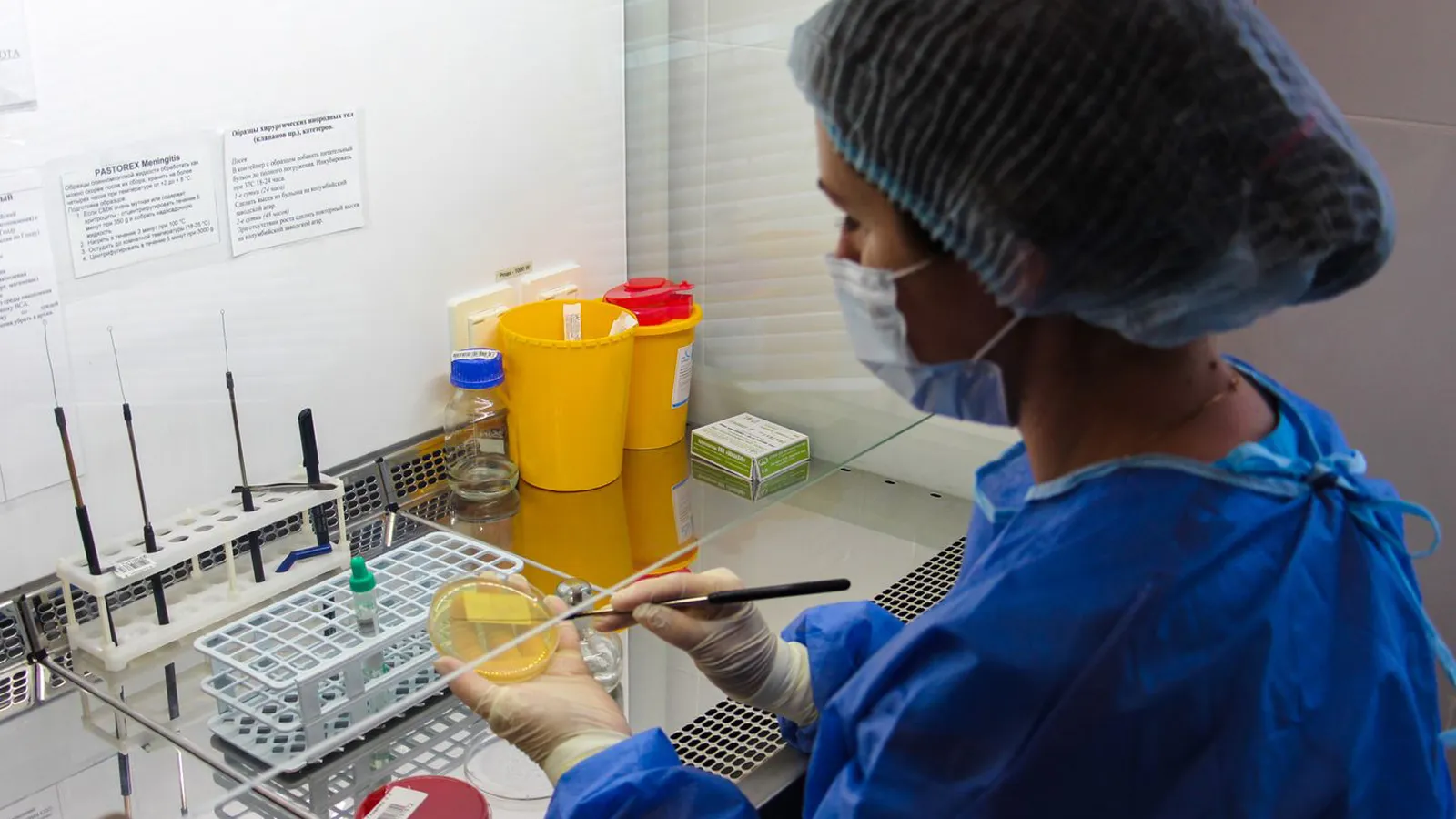 Фото: медиасток.рф