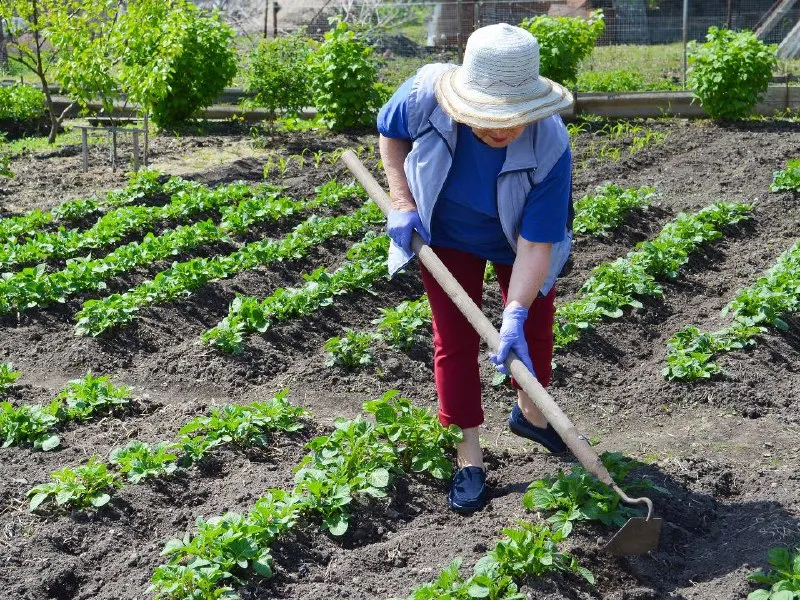 &nbsp; Фото: istockphoto.com