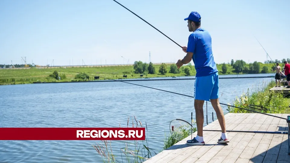 Фото: МедиаБанк Подмосковья/ Н. Надточая