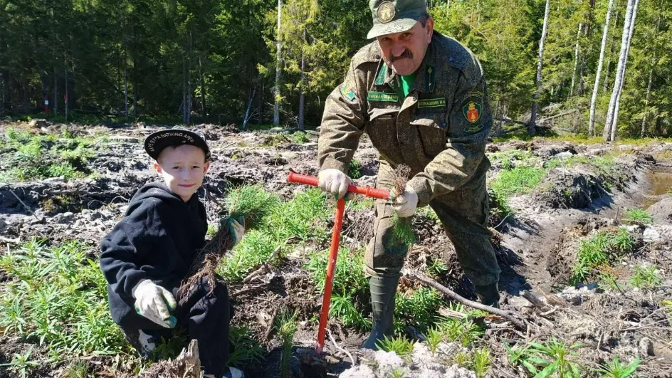 Фото: медиасток.рф