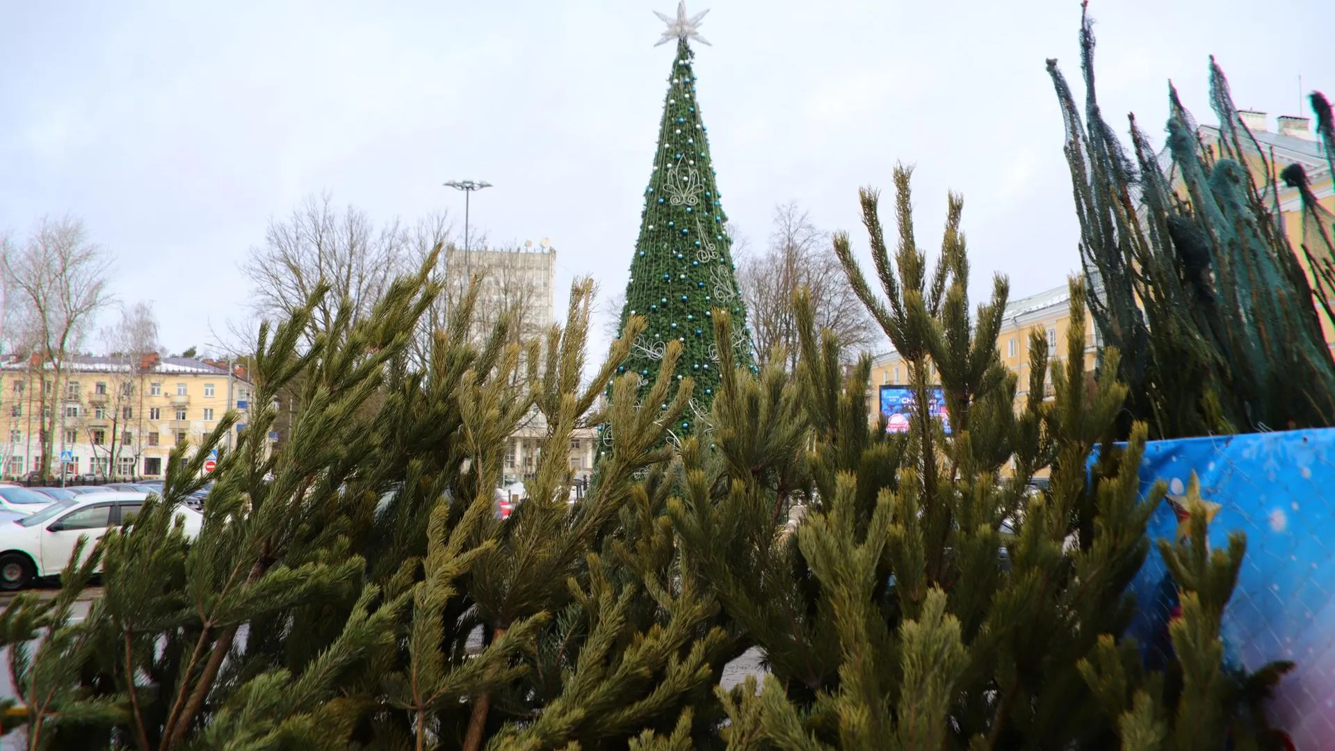 Фото: Пресс-служба администрации г. о. Воскресенск