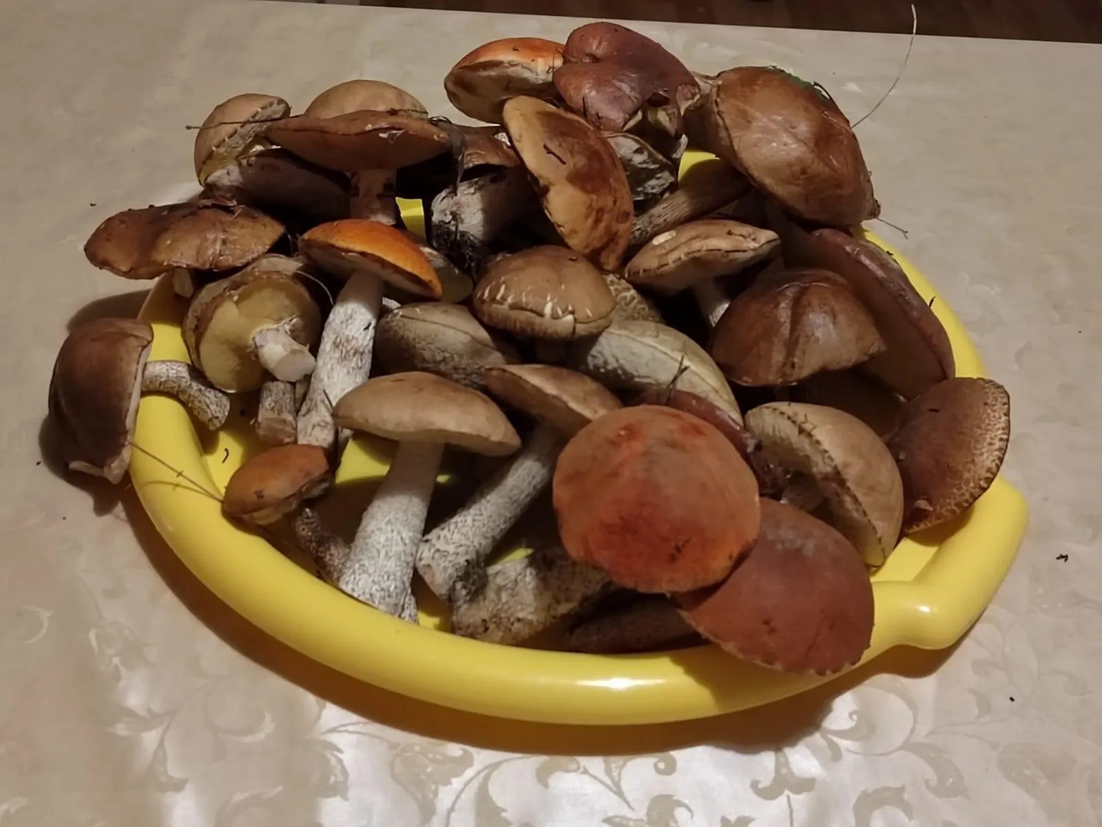 Анна Токорева