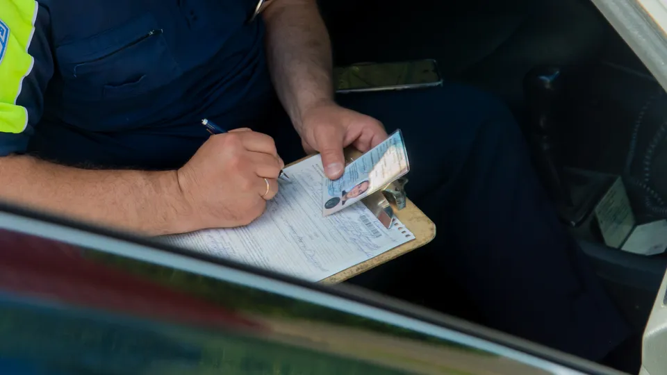 Фото: REGIONS/Наталия Надточая