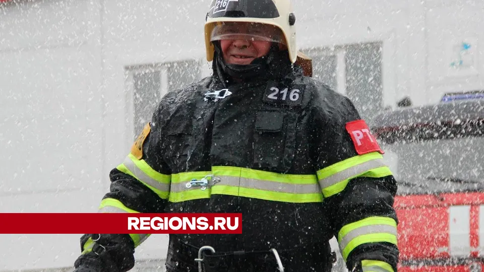 Фото: REGIONS/Василий Тремасов