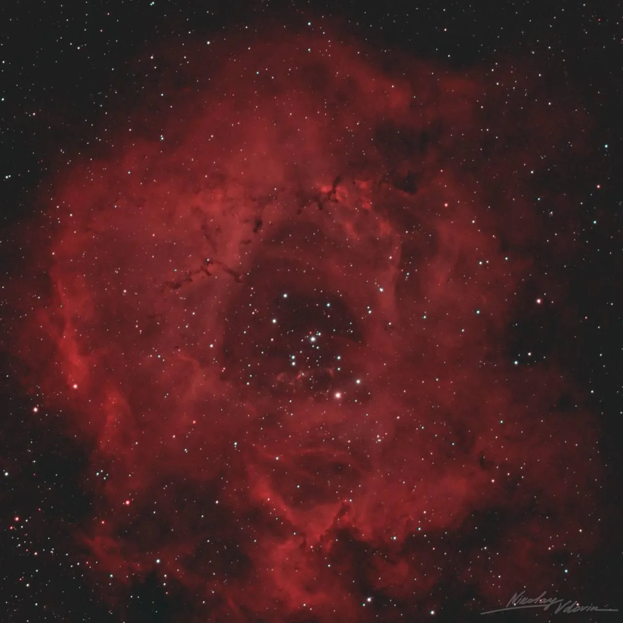 «Роскосмос» / Николай Вдовин