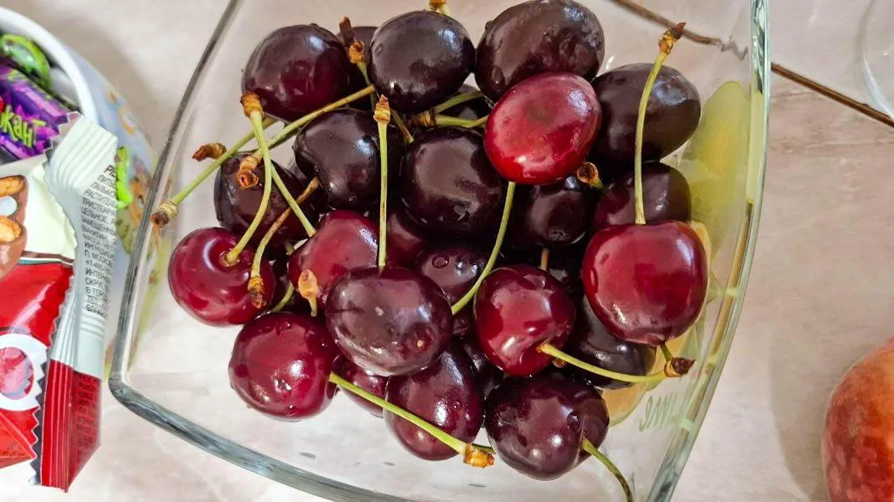 REGIONS/Юлия Габбасова