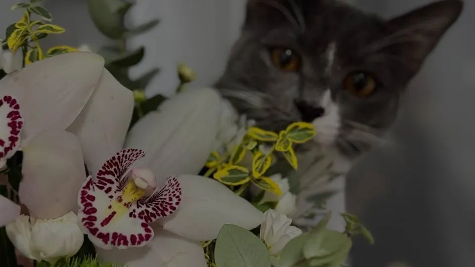 Министерство жилищной политики МО