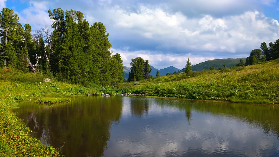 Фото: freepik.com