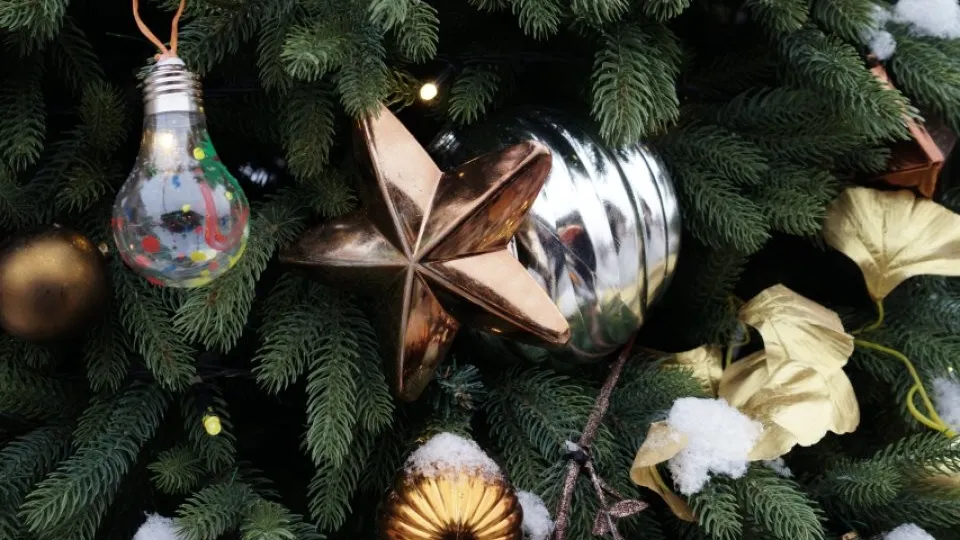 Фото: REGIONS/Дарина Левкина