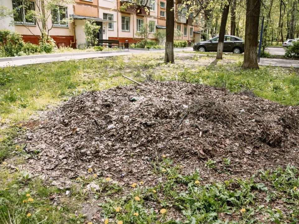 Фото: t.me/sobakin_mn