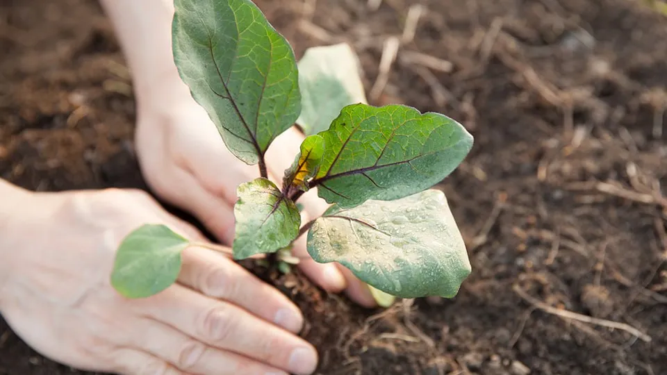 Фото: istockphoto.com