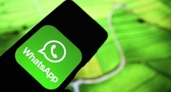 Депутат Свинцов: идея запретить звонки в WhatsApp и Telegram контрпродуктивна
