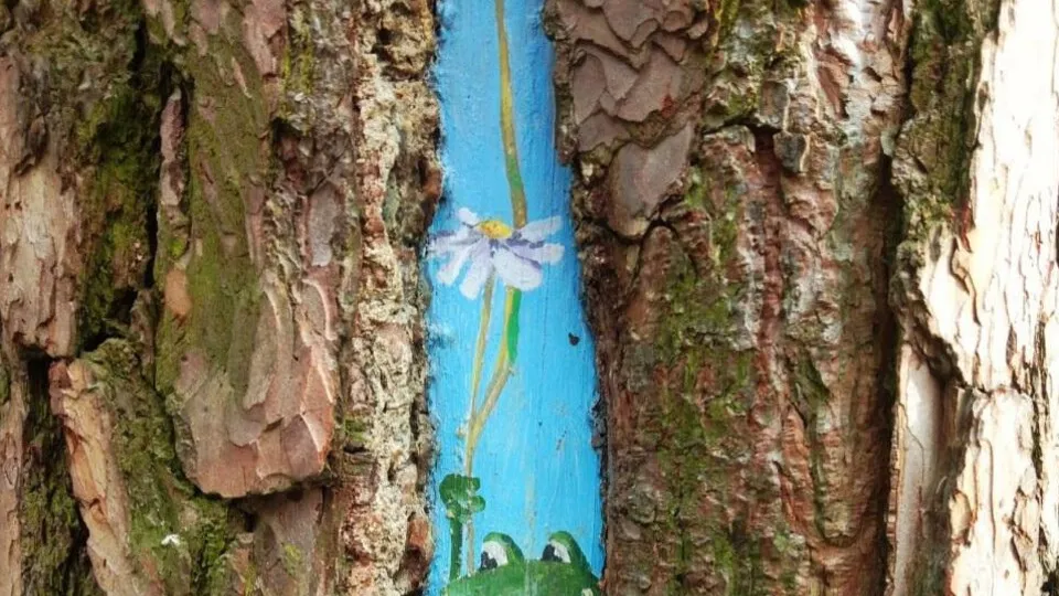 Фото: Анна Сполохова