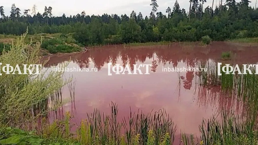 фото: из архива интернет-издания «Факт»