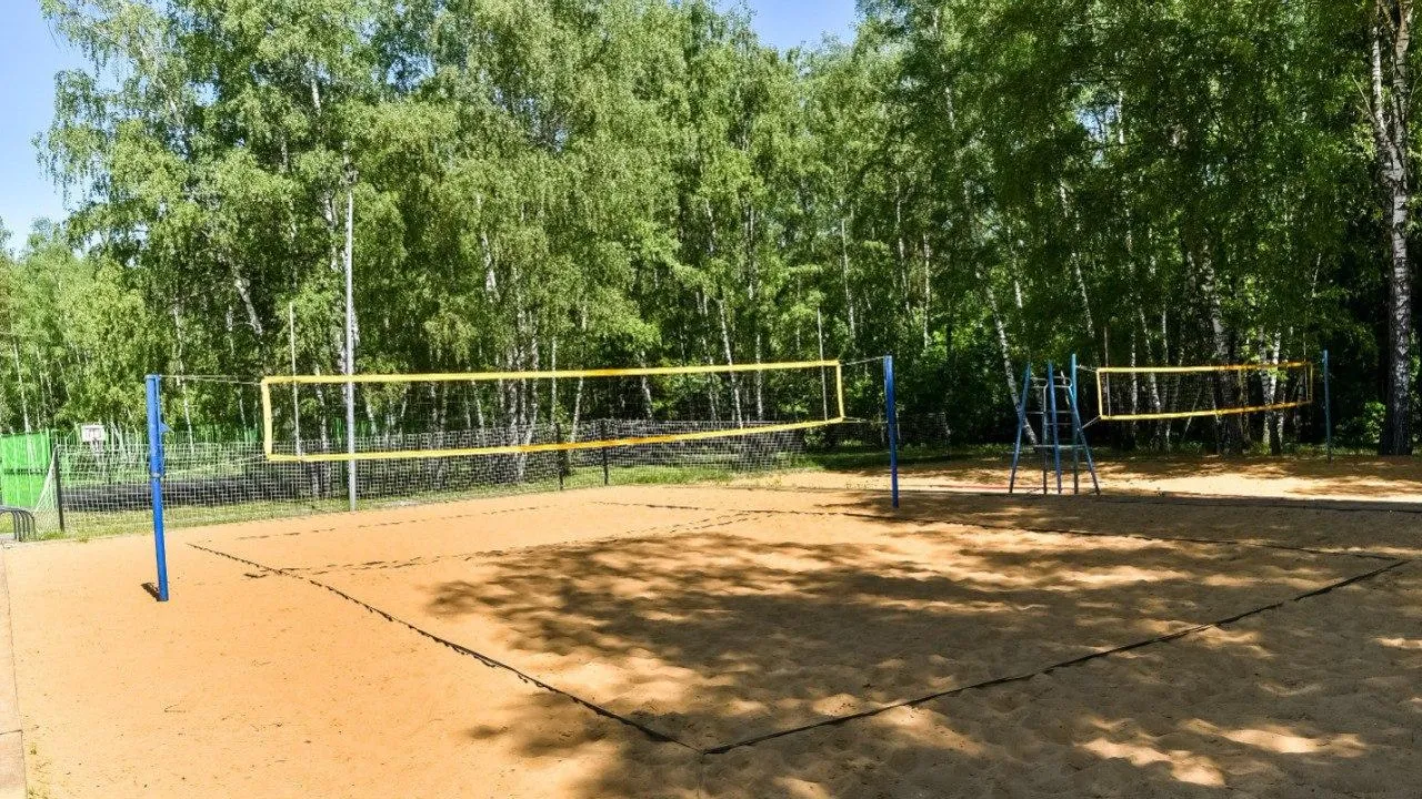 Фото: Министерство благоустройства Московской области