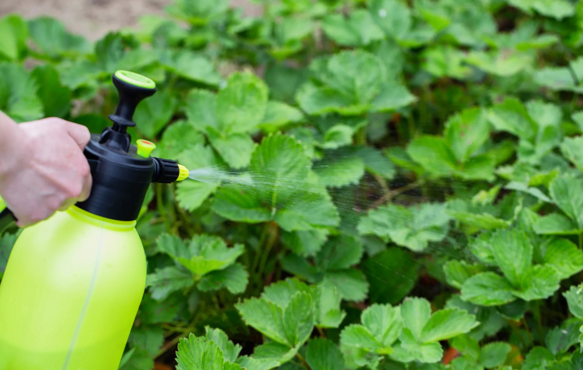 Фото: istockphoto.com