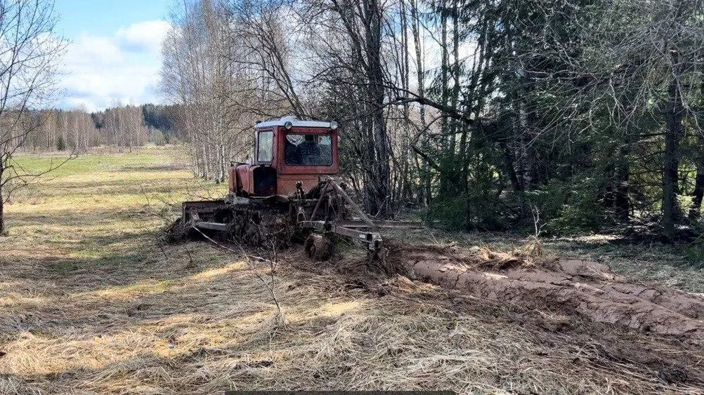 Фото: Комитет лесного хозяйства МО