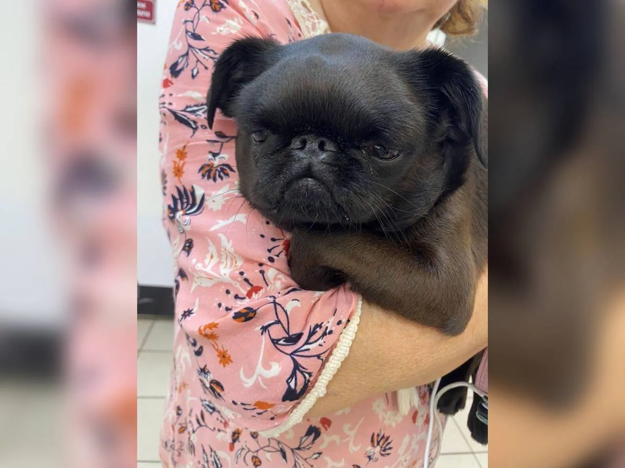 Фото: t.me/dmitrovnash