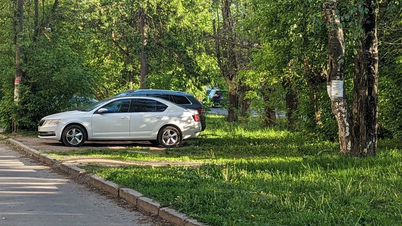 Фото: t.me/prodomodedovo