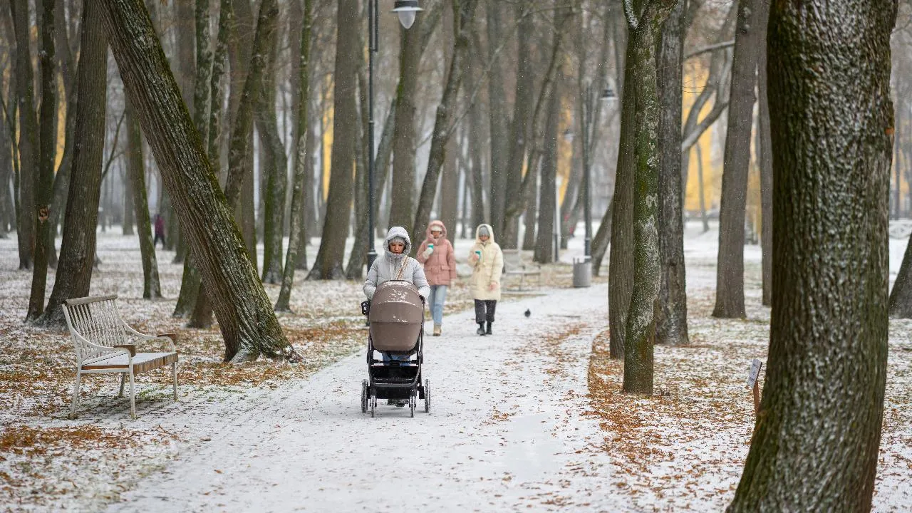 медиасток.рф