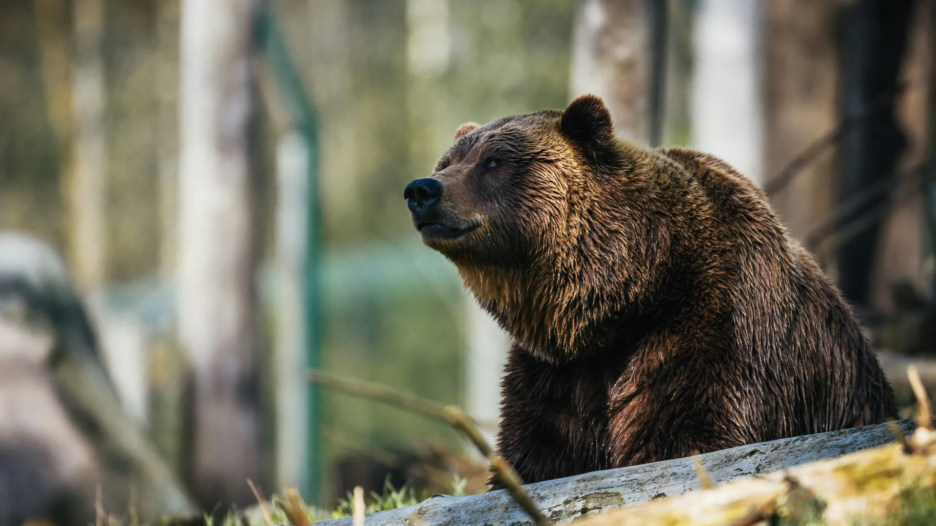 Фото: unsplash.com