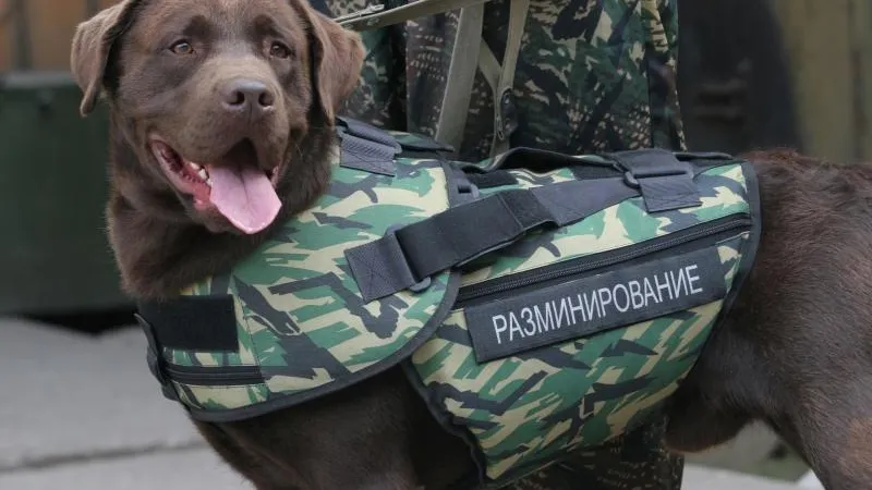 Муляж бомбы обнаружили в Люберцах 1 апреля