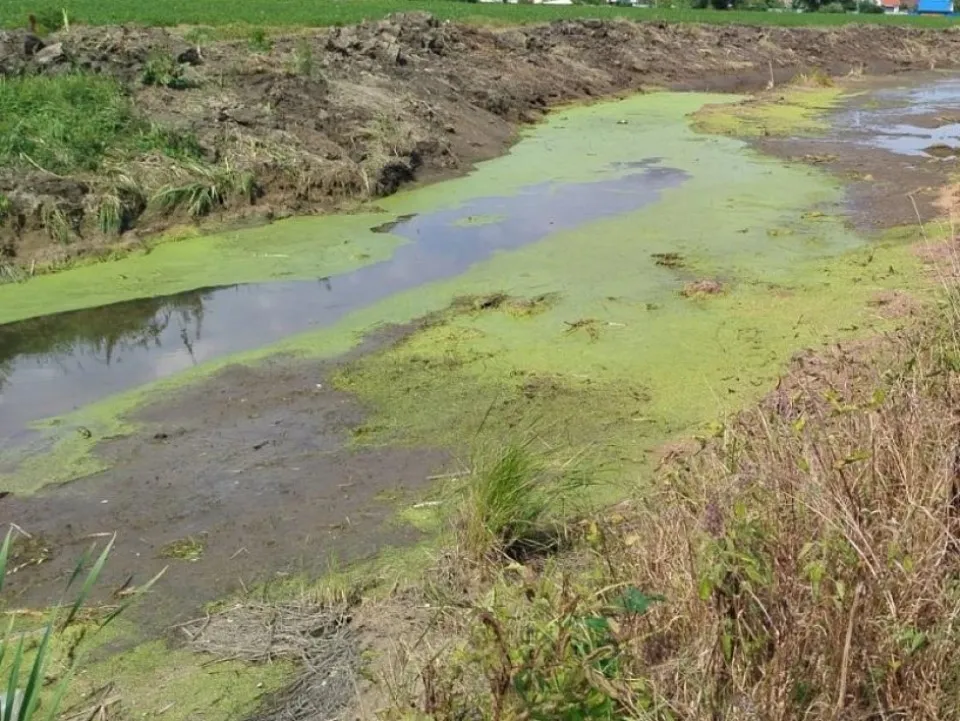 Фото:&nbsp;Министерство экологии и природопользования Московской области
