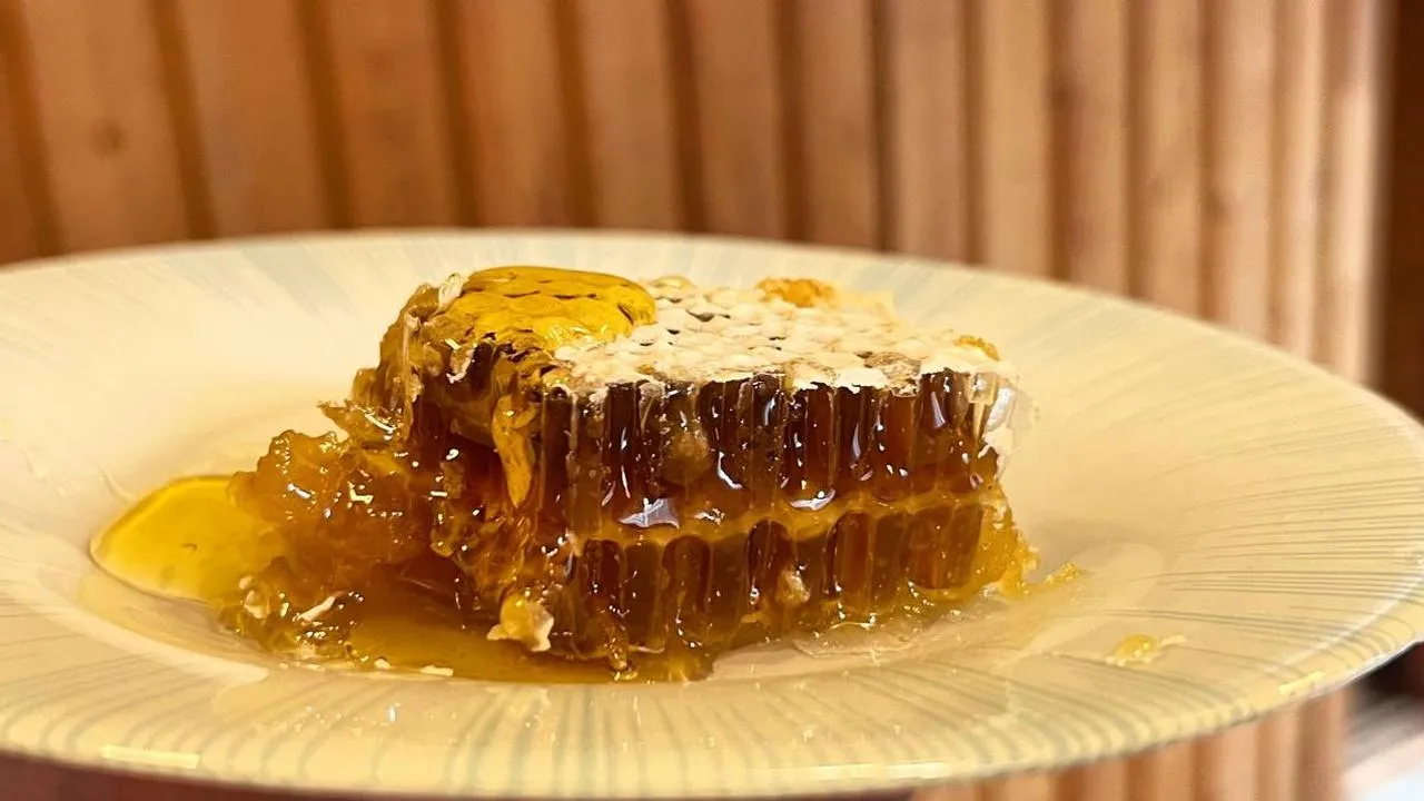 Медиабанк Подмосковья/Елена Шумакова