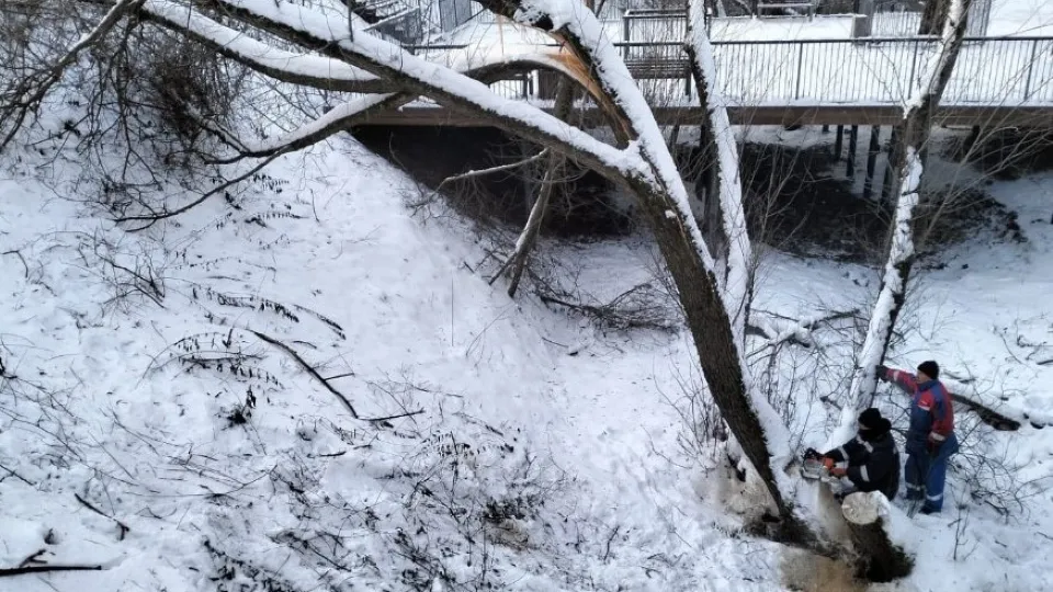 Фото: Администрация г.о. Чехов