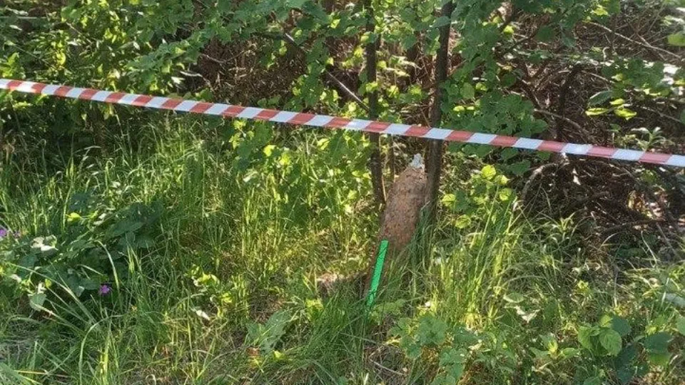 Фото: ГКУ МО «Мособлпожспас»