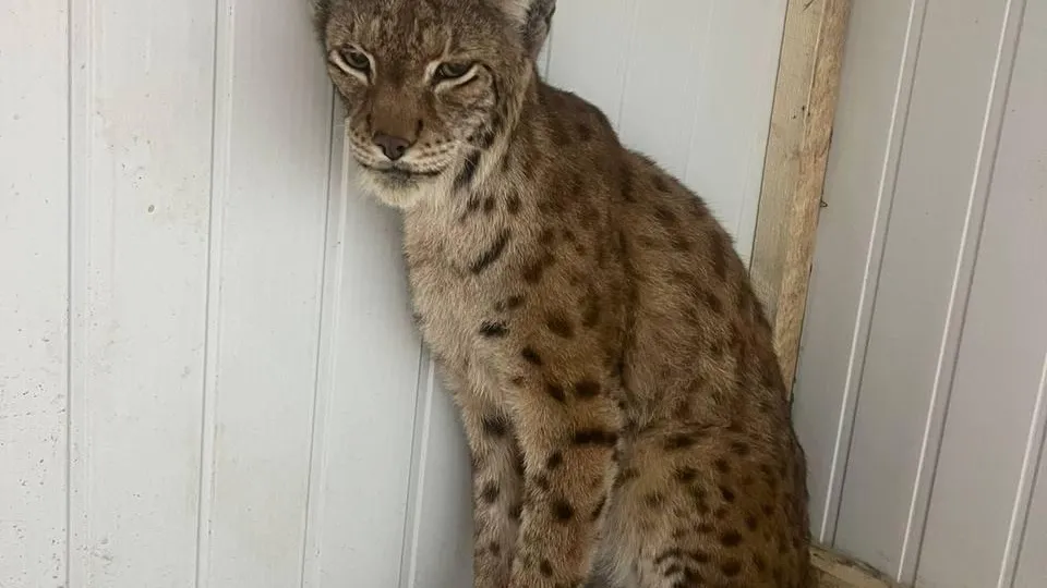 Пресс-служба Минсельхозпрод МО